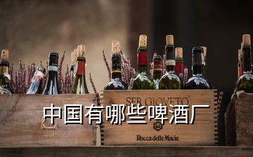 中国有哪些啤酒厂