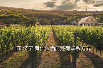 山东 济宁 有什么酒厂还有联系方式