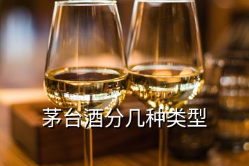 茅台酒分几种类型