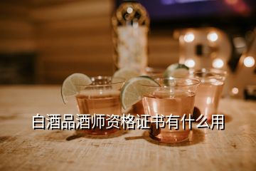 白酒品酒师资格证书有什么用