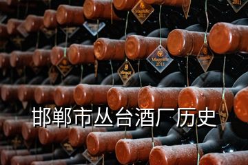 邯郸市丛台酒厂历史