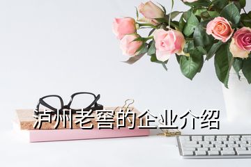 泸州老窖的企业介绍