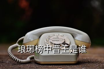 琅琊榜中晋王是谁