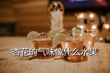 杏花的气味像什么水果