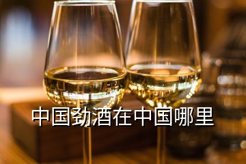 中国劲酒在中国哪里