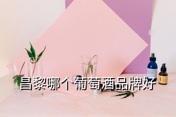 昌黎哪个葡萄酒品牌好