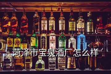 菏泽市宝泉酒厂怎么样