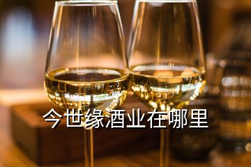 今世缘酒业在哪里