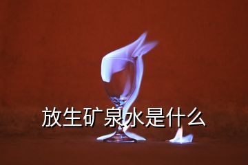 放生矿泉水是什么