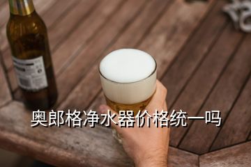 奥郎格净水器价格统一吗