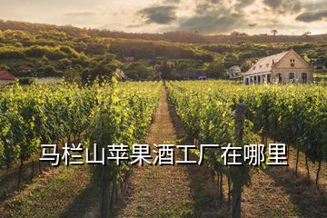 马栏山苹果酒工厂在哪里