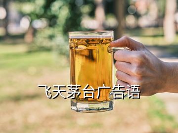 飞天茅台广告语