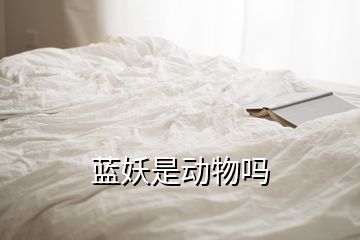 蓝妖是动物吗