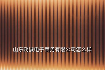 山东朔诚电子商务有限公司怎么样