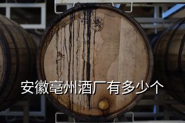 安徽亳州酒厂有多少个