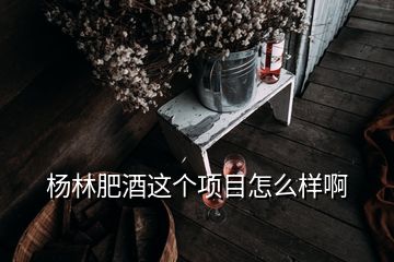 杨林肥酒这个项目怎么样啊