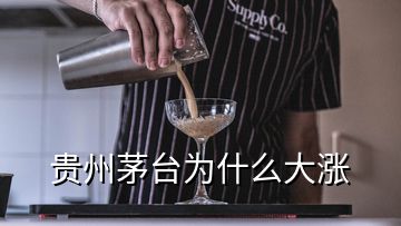 贵州茅台为什么大涨