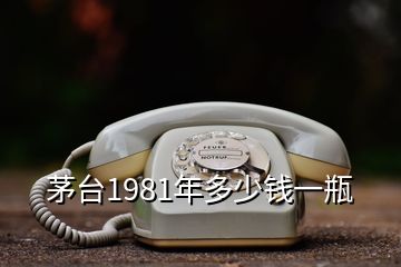 茅台1981年多少钱一瓶