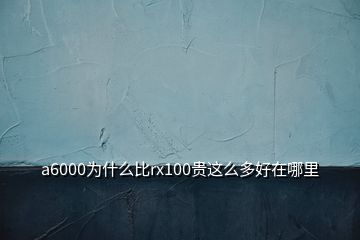 a6000为什么比rx100贵这么多好在哪里