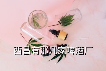 西昌有那几家啤酒厂