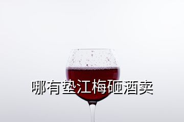 哪有垫江梅砸酒卖