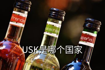 USK是哪个国家