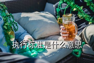 执行标准是什么意思