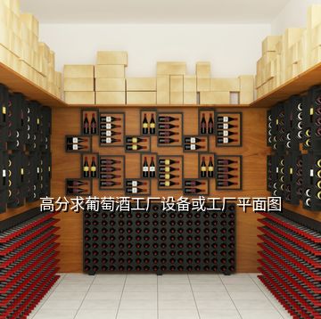 高分求葡萄酒工厂设备或工厂平面图