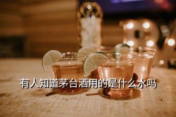 有人知道茅台酒用的是什么水吗