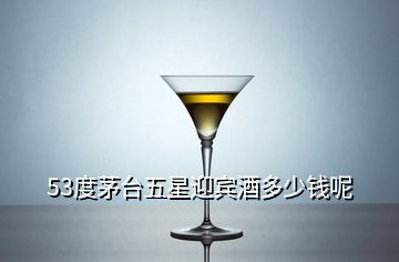 53度茅台五星迎宾酒多少钱呢