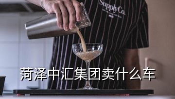 菏泽中汇集团卖什么车