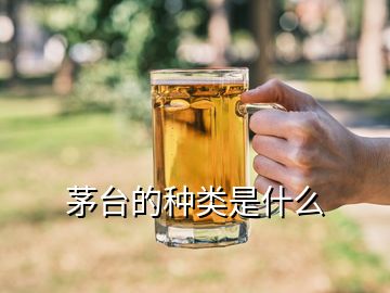 茅台的种类是什么