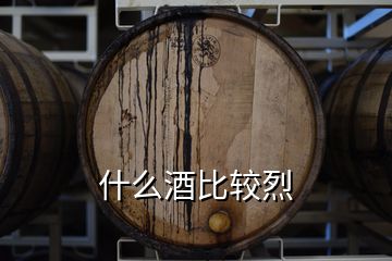 什么酒比较烈