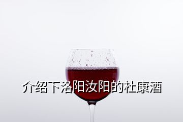 介绍下洛阳汝阳的杜康酒