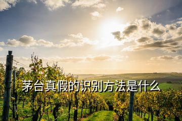 茅台真假的识别方法是什么