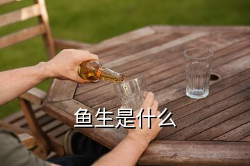 鱼生是什么