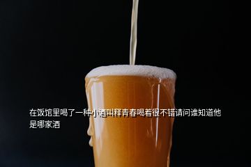 在饭馆里喝了一种小酒叫释青春喝着很不错请问谁知道他是哪家酒