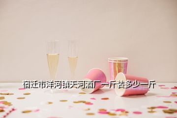 宿迁市洋河镇天河酒厂一斤装多少一斤