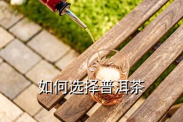 如何选择普洱茶