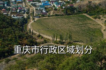 重庆市行政区域划分