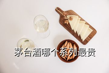 茅台酒哪个系列最贵