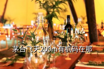 茅台飞天200m有机码在那