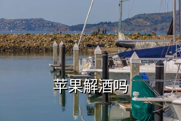 苹果解酒吗