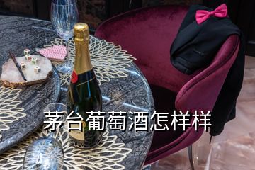 茅台葡萄酒怎样样