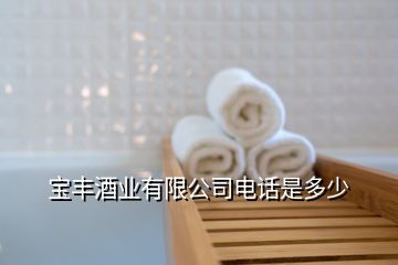 宝丰酒业有限公司电话是多少