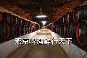 燕京啤酒鲜行天下