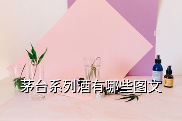 茅台系列酒有哪些图文