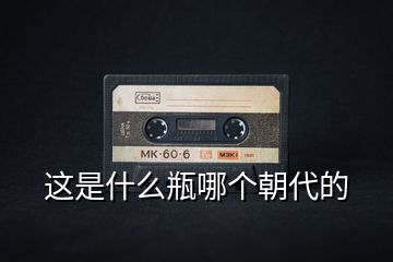 这是什么瓶哪个朝代的