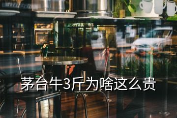 茅台牛3斤为啥这么贵