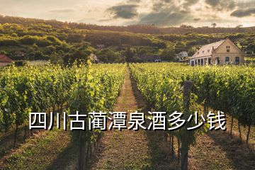 四川古蔺潭泉酒多少钱